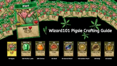 Wizard101 pigsie