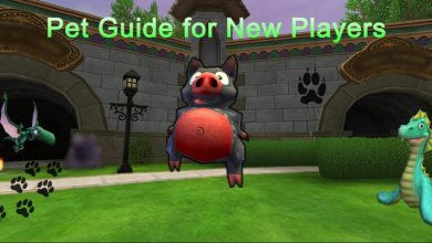 Pet Guide for New Players