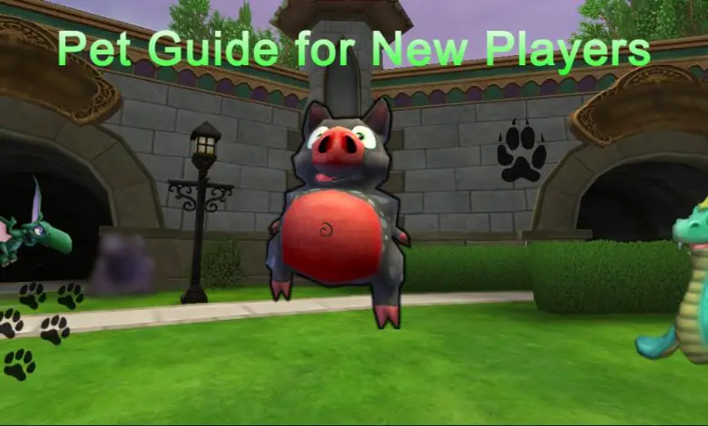 Pet Guide for New Players